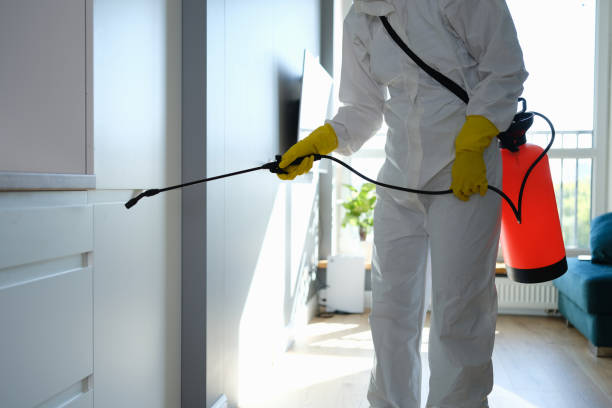 Best Preventive Mold Services in Cumberland Hill, RI