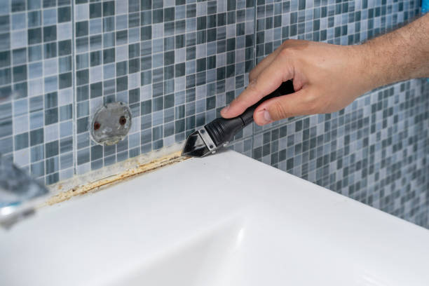Best Bathroom Mold Remediation in Cumberland Hill, RI