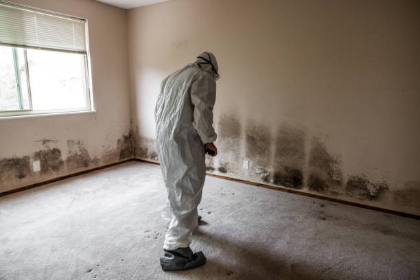 Best Mold Remediation for Schools in Cumberland Hill, RI